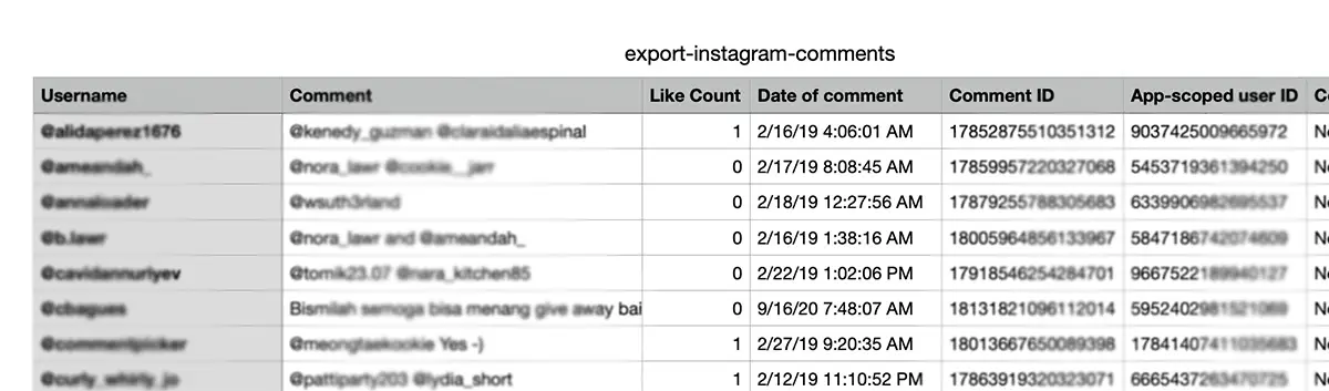 Example of an Instagram comments export
