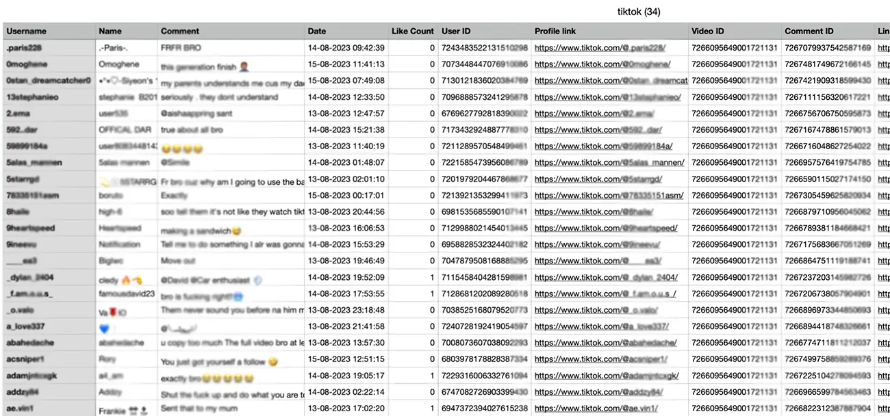 Example of an export of TikTok comments