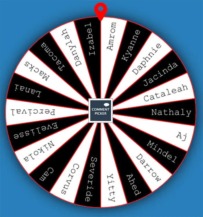 Example Name Picker Wheel with black & white colors