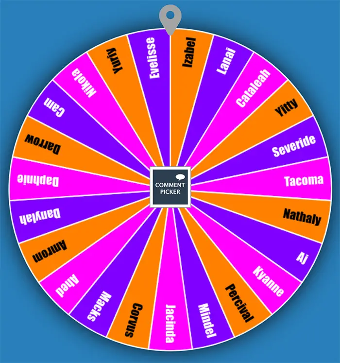 spin the wheel random name picker