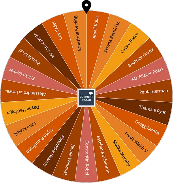 Example of Wheel of Names with autumn vibes colors