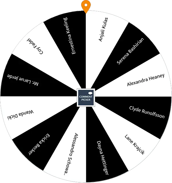 Example of Name Picker Wheel with black and white colors