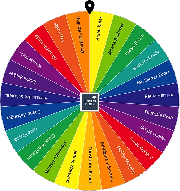 Example of Instagram Giveaway Picker wheel with modern colors