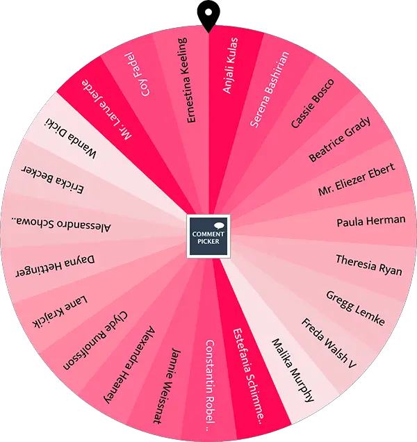 Voorbeeld van een Instagram Winactie Namen Rad met liefdeskleuren